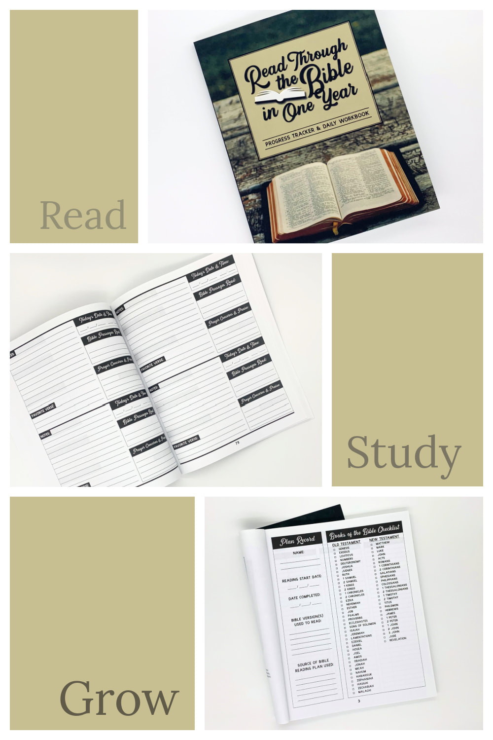 Read Through the Bible in One Year Planner Journal Bible Study